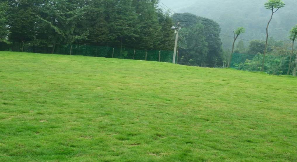 崇州·九龙沟·拉菲玺龙温泉酒店